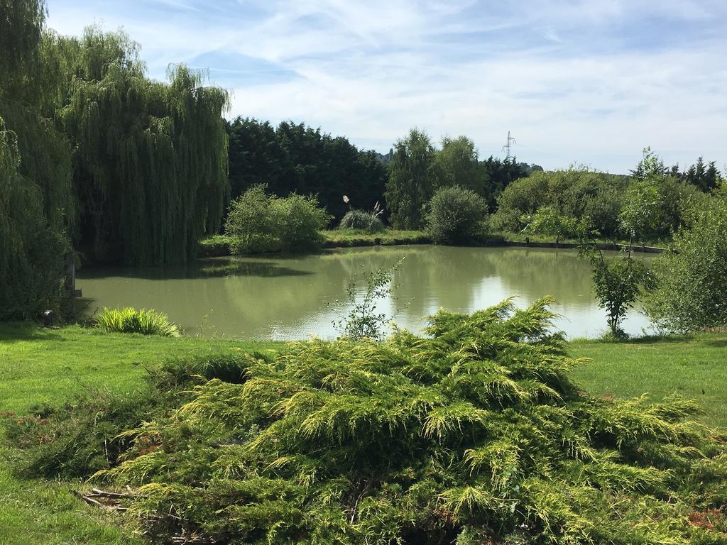 Gites - Domaine De Geffosse Pont-Évêque 외부 사진